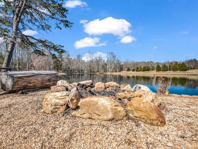 water view with a view of trees