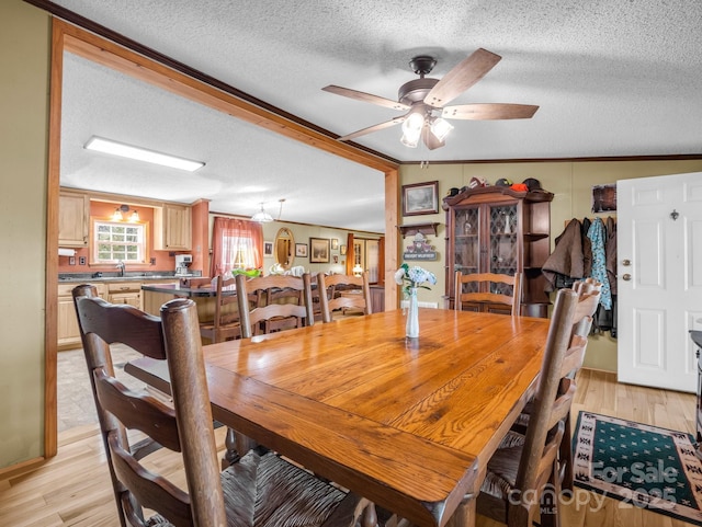 dining space with a textured ceiling, light wood-type flooring, and a ceiling fan