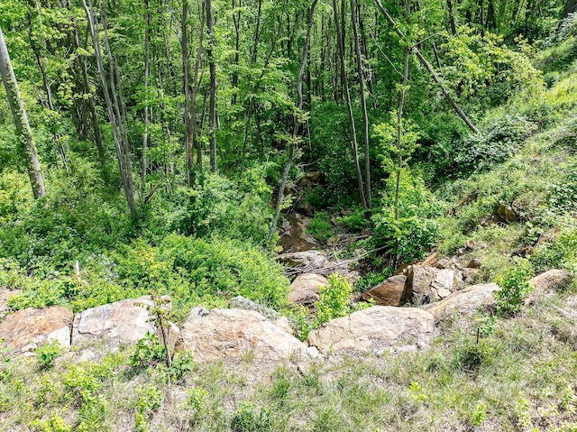 1851 Newfound Rd, Leicester, NC 28748