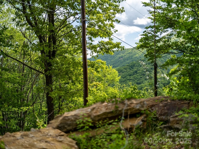 1851 Newfound Rd, Leicester, NC 28748