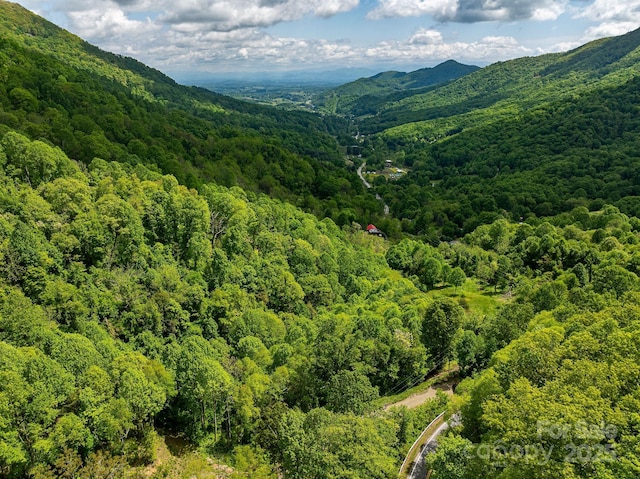1851 Newfound Rd, Leicester, NC 28748