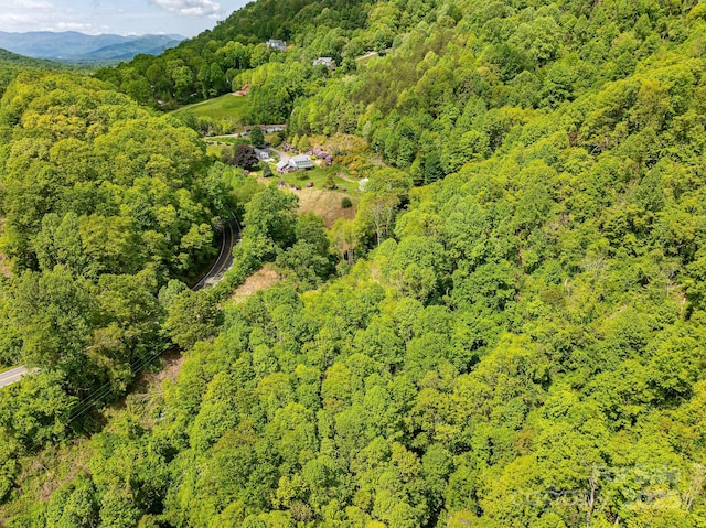 1851 Newfound Rd, Leicester, NC 28748