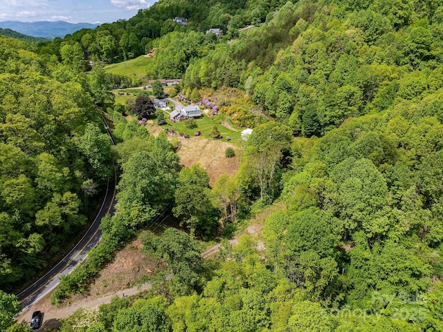 1851 Newfound Rd, Leicester, NC 28748