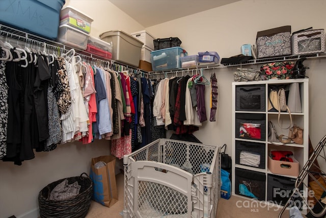 3216 Bridgewick Rd, Waxhaw, NC 28173 - walk in closet featuring carpet