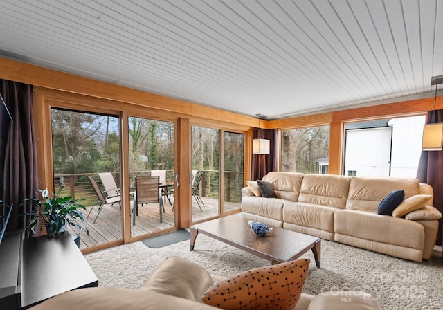 carpeted living room with a wealth of natural light