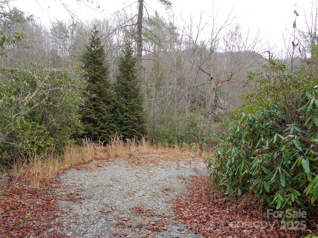 Listing photo 3 for 218 S Kimiko Ln Unit 35, 36, 37, Balsam Grove NC 28708