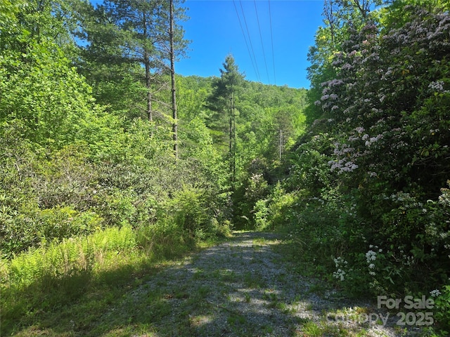 218 S Kimiko Ln Unit 35, 36, 37, Balsam Grove, NC 28708