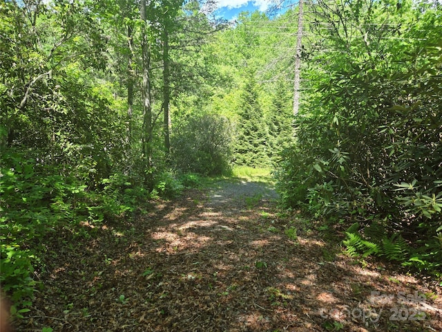 218 S Kimiko Ln Unit 35, 36, 37, Balsam Grove, NC 28708