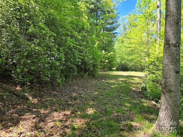 218 S Kimiko Ln Unit 35, 36, 37, Balsam Grove, NC 28708