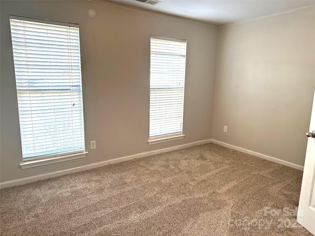 spare room featuring ornamental molding and carpet flooring