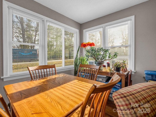 interior space with a wealth of natural light