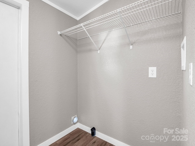 laundry area featuring hardwood / wood-style floors