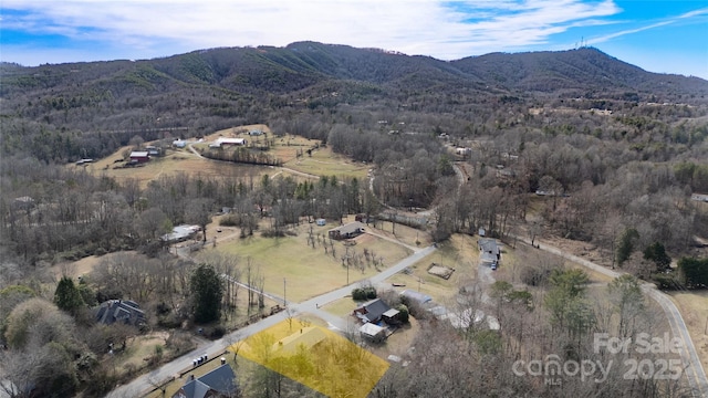 drone / aerial view featuring a rural view, a mountain view, and a forest view