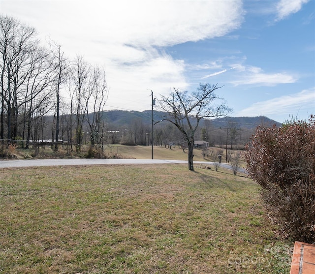 view of yard featuring a mountain view