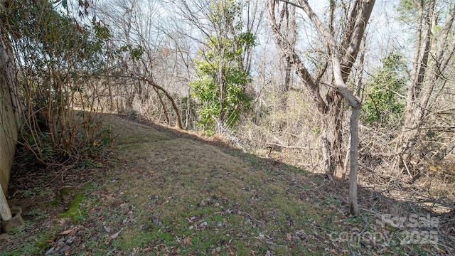 view of local wilderness