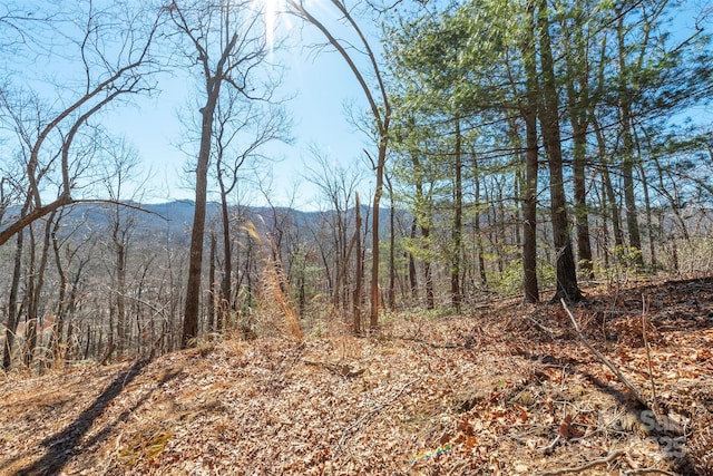 107 Bartram Way, Black Mountain NC, 28711 land for sale