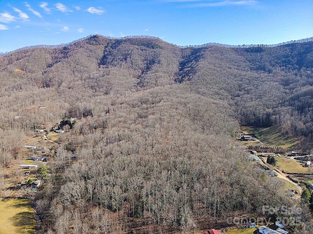 99999 Dark Cove Rd, Leicester NC, 28748 land for sale