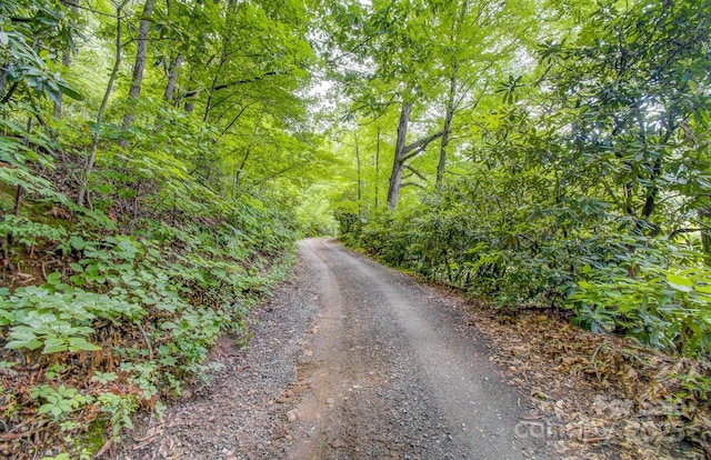 99999 Dark Cove Rd, Leicester, NC 28748 - photo 7