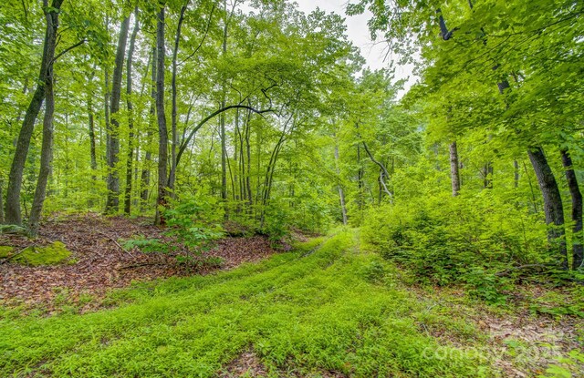 99999 Dark Cove Rd, Leicester, NC 28748 - photo 9