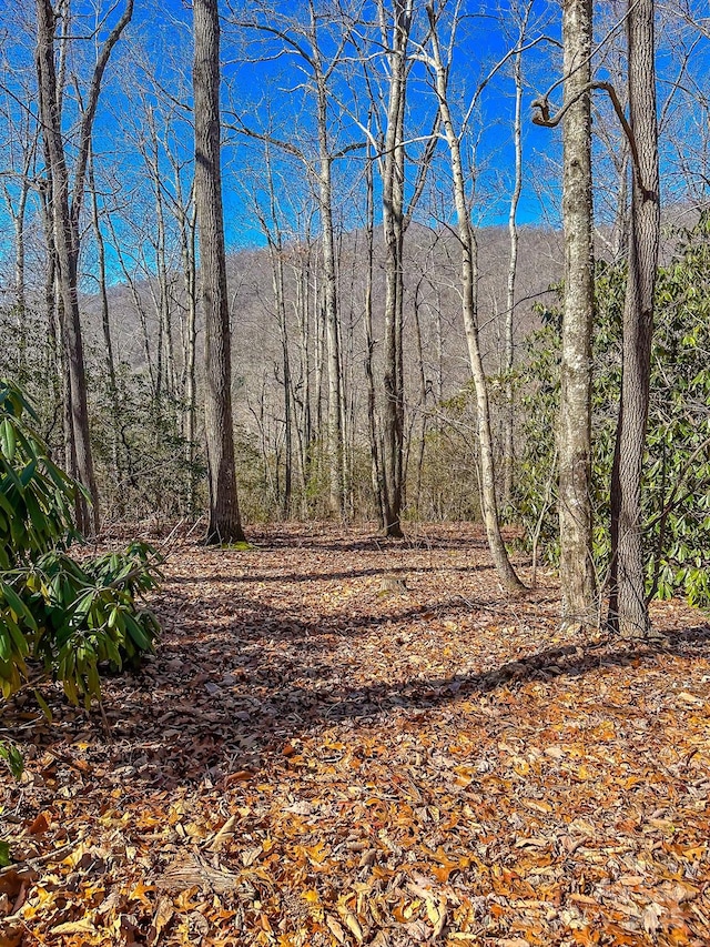 99999 Dark Cove Rd, Leicester, NC 28748 - photo 12