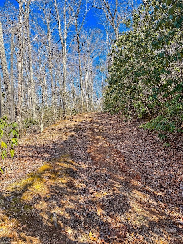 99999 Dark Cove Rd, Leicester, NC 28748 - photo 14
