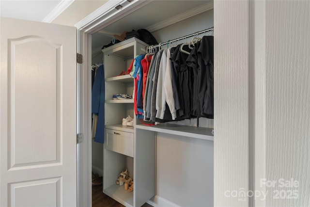 view of closet