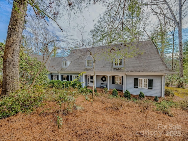 view of cape cod-style house