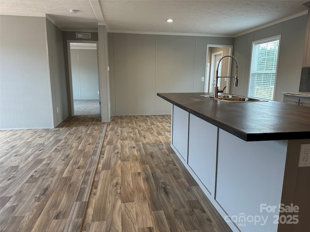 kitchen with sink, crown molding, wood-type flooring, and a textured ceiling