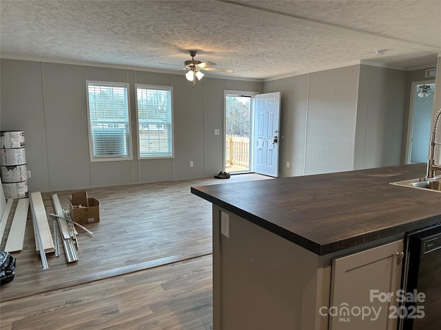 kitchen with black dishwasher, hardwood / wood-style flooring, ornamental molding, ceiling fan, and a textured ceiling