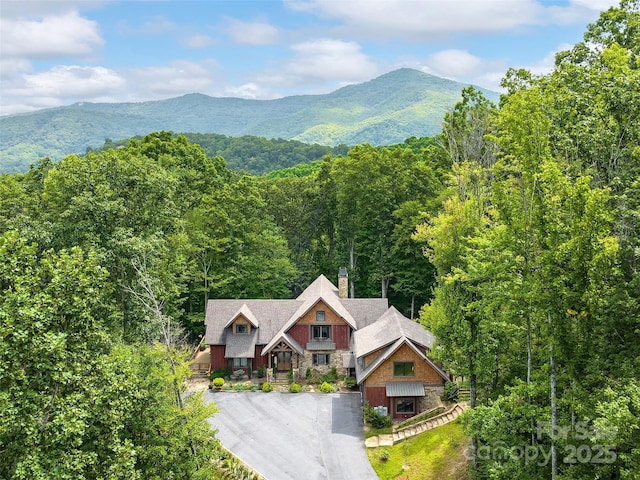 view of mountain feature