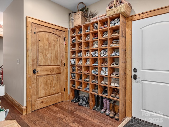 wine room with dark hardwood / wood-style floors