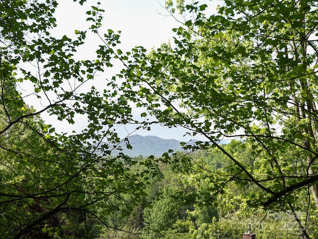property view of mountains with a forest view
