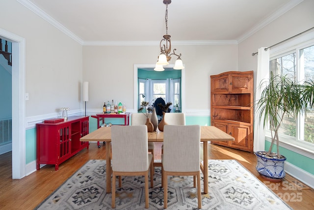 dining room with light wood-style floors, a healthy amount of sunlight, and crown molding