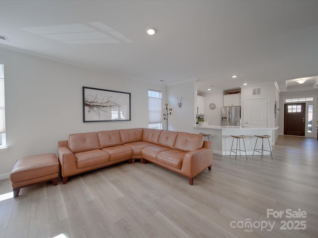 living room with ornamental molding, light hardwood / wood-style flooring, and sink