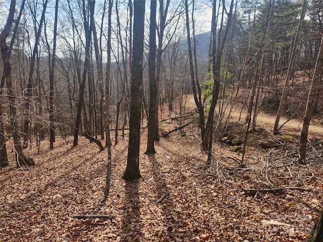 LOT83 Walnut Ln, Lake Lure NC, 28746 land for sale