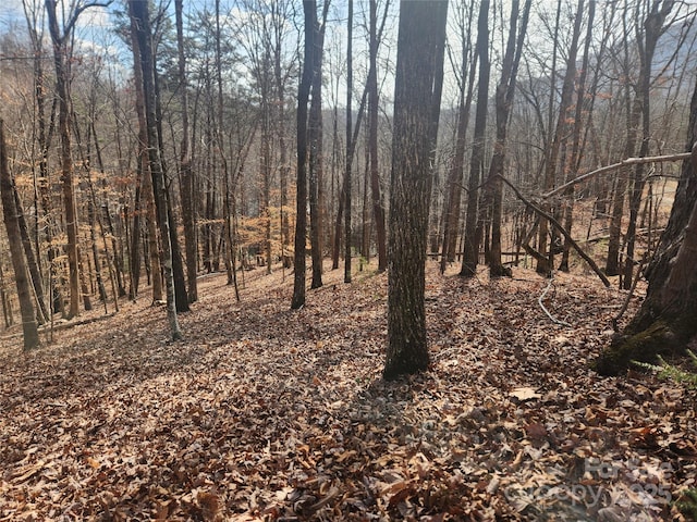 Listing photo 3 for LOT83 Walnut Ln, Lake Lure NC 28746