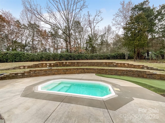 view of pool with a patio