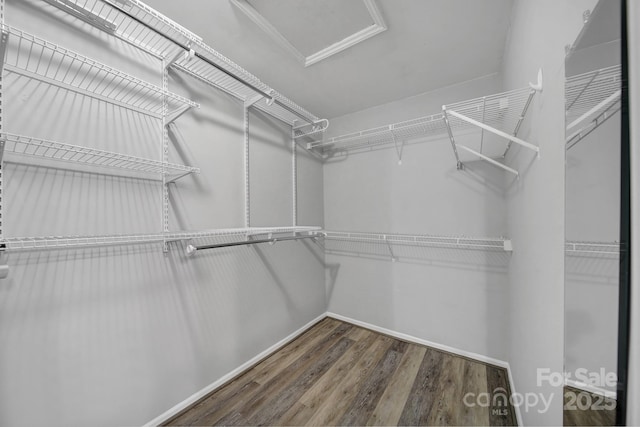 walk in closet featuring dark hardwood / wood-style floors