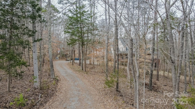 view of road featuring dirt driveway and a wooded view