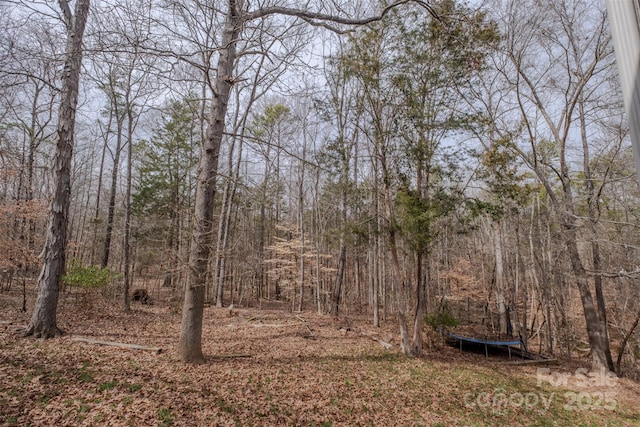 view of local wilderness featuring a forest view