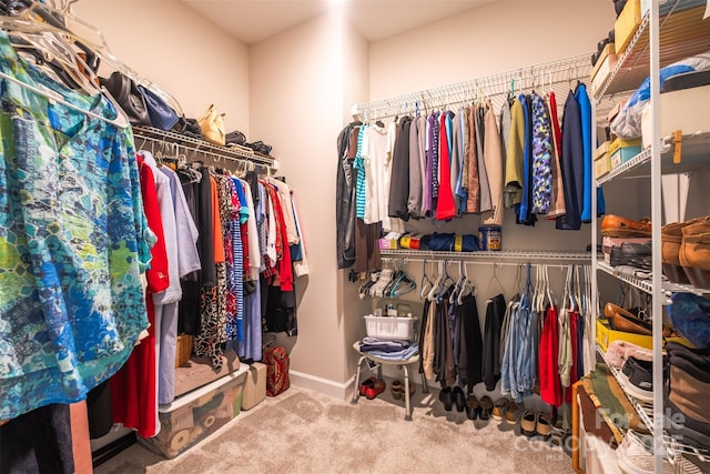 spacious closet featuring carpet flooring