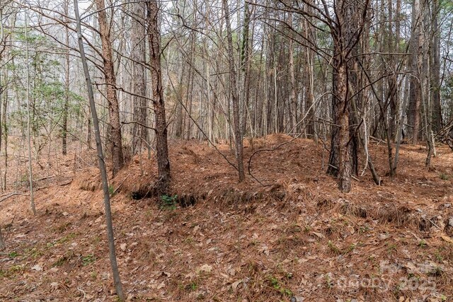 179 Windingwood Dr, Statesville, NC 28677 - photo 5