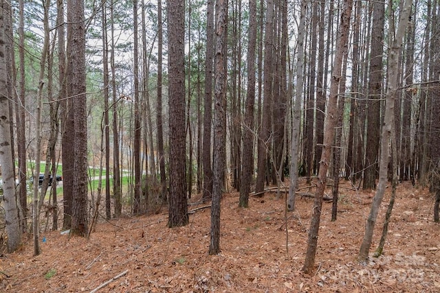 179 Windingwood Dr, Statesville, NC 28677 - photo 10