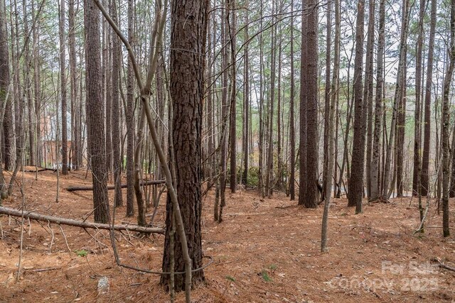 179 Windingwood Dr, Statesville, NC 28677 - photo 12