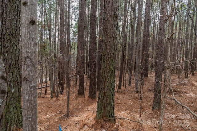 179 Windingwood Dr, Statesville, NC 28677 - photo 20