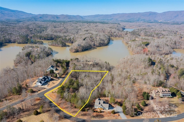 LOT50 Mountain Pkwy Unit 50, 50A, Mill Spring NC, 28756 land for sale