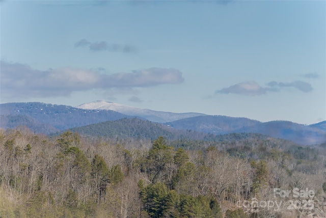 mountain view with a forest view