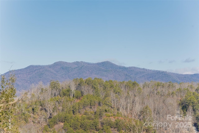 view of mountain feature featuring a forest view