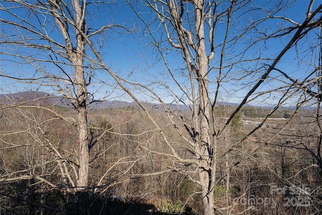 view of local wilderness with a mountain view