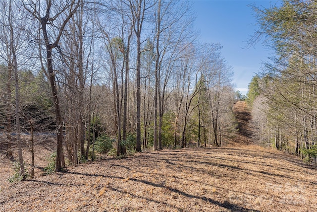 view of nature featuring a forest view